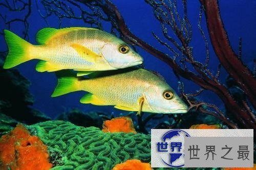 【图】荨麻疹早期症状，最佳的治疗方法，如何预防荨