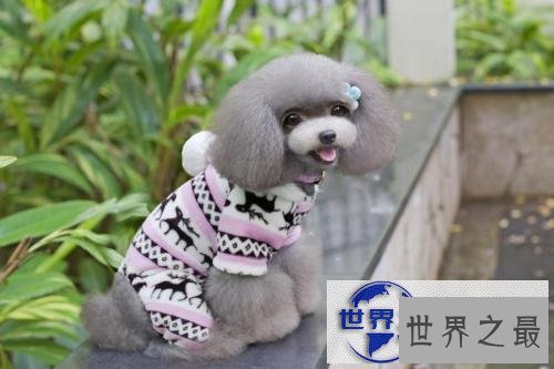 【图】荨麻疹早期症状，最佳的治疗方法，如何预防荨