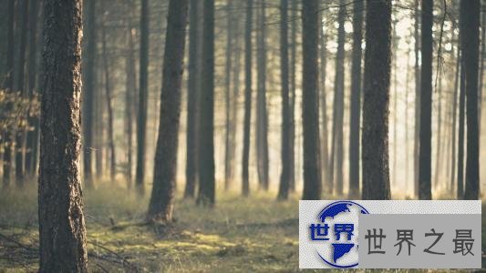 【图】荨麻疹早期症状，最佳的治疗方法，如何预防荨