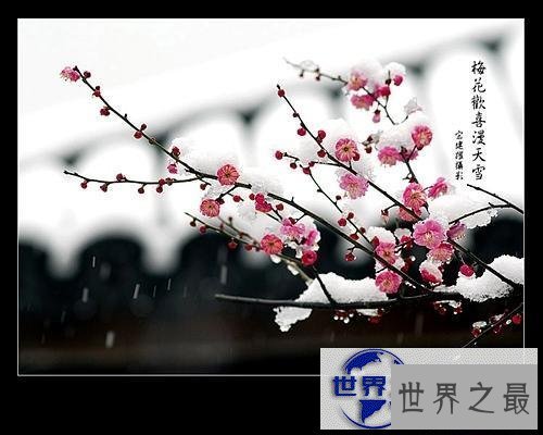 【图】送给你关于冬天的古诗，让我们一起来告别冬天