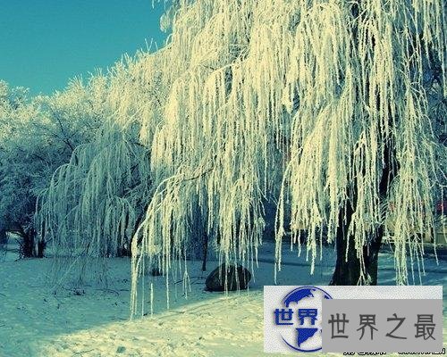 【图】送给你关于冬天的古诗，让我们一起来告别冬天