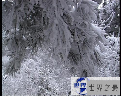 【图】送给你关于冬天的古诗，让我们一起来告别冬天