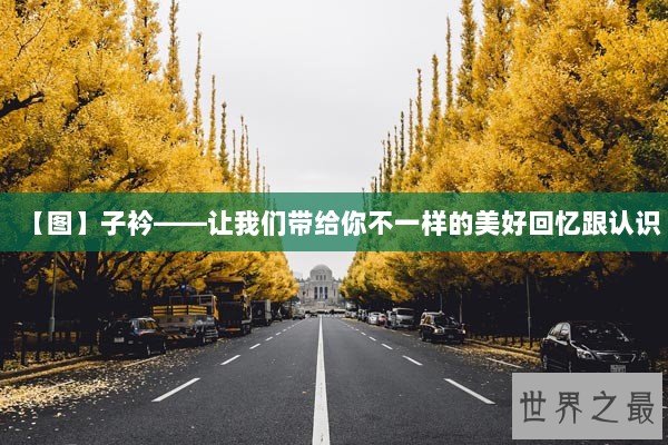 【图】子衿——让我们带给你不一样的美好回忆跟认识