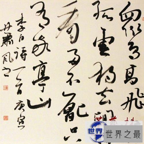 【图】子衿——让我们带给你不一样的美好回忆跟认识