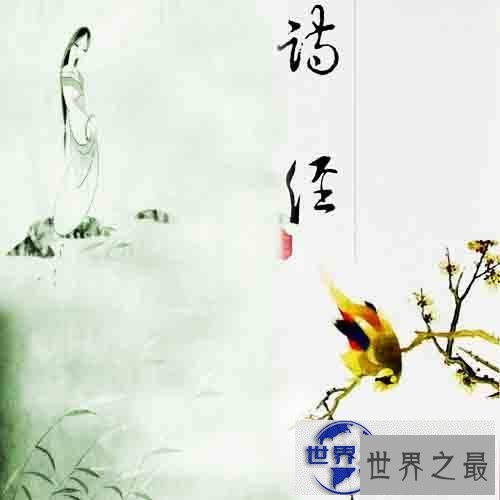 【图】子衿——让我们带给你不一样的美好回忆跟认识