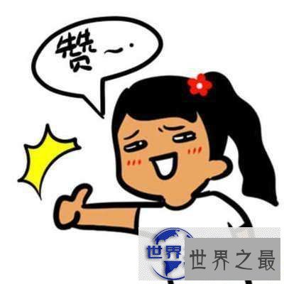 【图】赞叹不已——一篇文章让你知道赞叹不已的意思