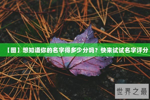 【图】想知道你的名字得多少分吗？快来试试名字评分