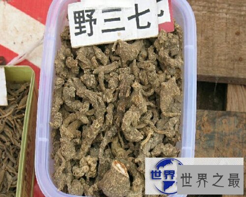 【图】野三七，一种非常有效的中草药