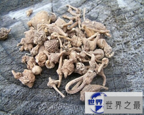 【图】野三七，一种非常有效的中草药