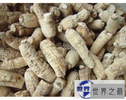 【图】希望下面这些补气血的中药——能帮助到你