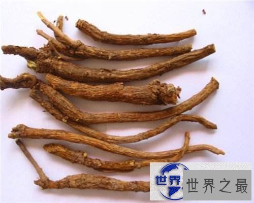 【图】希望下面这些补气血的中药——能帮助到你