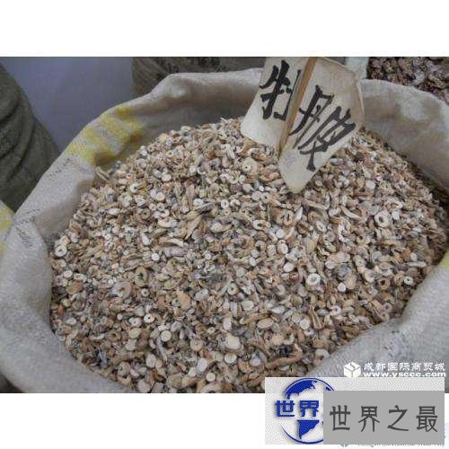 【图】让你了解牡丹皮的功效与作用，有利于你的好好