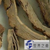 【图】让你了解牡丹皮的功效与作用，有利于你的好好