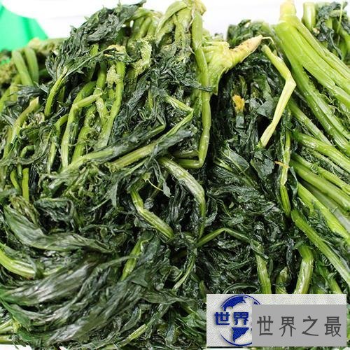 【图】一篇带你来了解雪菜的文章，希望你会喜欢