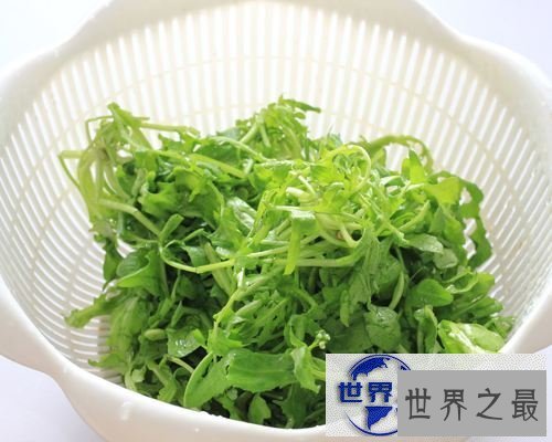 【图】一起来了解荠菜的功效与作用,让你尝遍新滋味