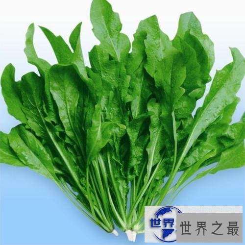 【图】一起来了解荠菜的功效与作用,让你尝遍新滋味