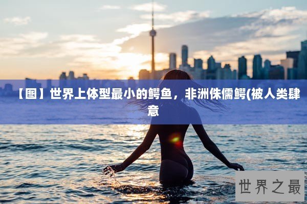 【图】世界上体型最小的鳄鱼，非洲侏儒鳄(被人类肆意