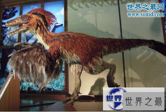 【图】史上速度最快的恐龙，恐爪龙(比霸王龙更厉害