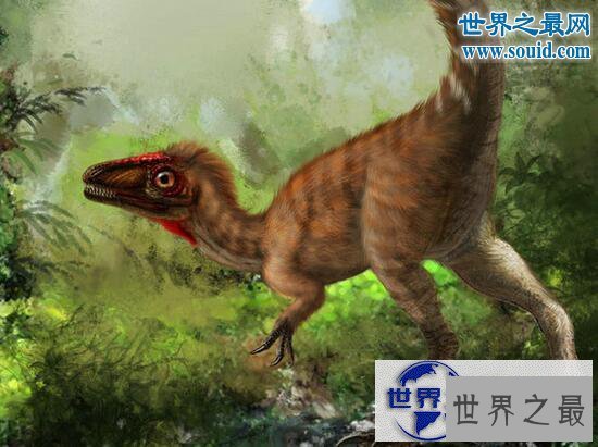 【图】史上速度最快的恐龙，恐爪龙(比霸王龙更厉害