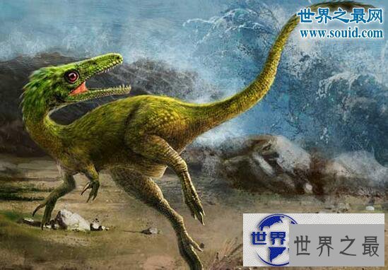 【图】史上速度最快的恐龙，恐爪龙(比霸王龙更厉害
