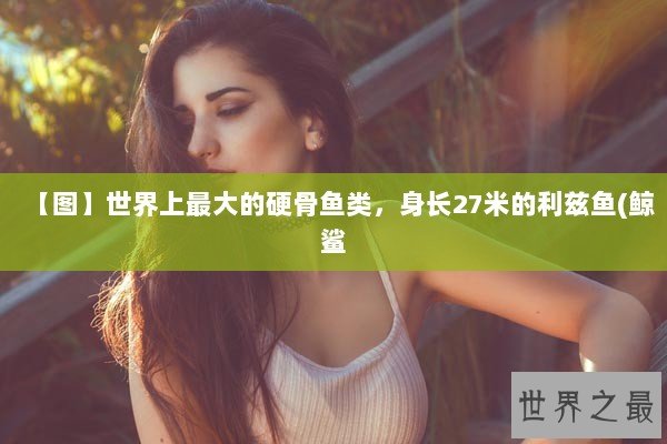 【图】世界上最大的硬骨鱼类，身长27米的利兹鱼(鲸鲨