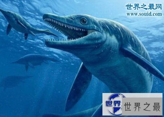 【图】世界上最大的硬骨鱼类，身长27米的利兹鱼(鲸鲨