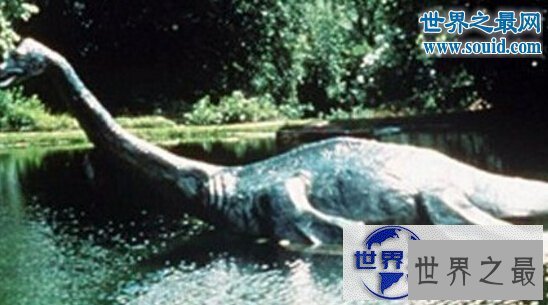 【图】世界上最大的海怪，卡布罗龙(身长20米)