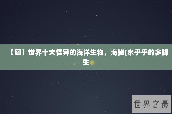 【图】世界十大怪异的海洋生物,海猪(水乎乎的多脚生 【图】世界十大怪异的海洋生物,海猪(水乎乎的多脚生