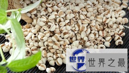 【图】薏米，小小个头大大作用，百姓身边的良药！