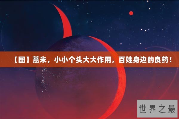 【图】薏米，小小个头大大作用，百姓身边的良药！