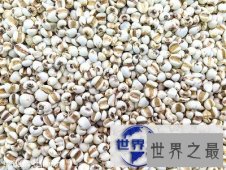 【图】薏米，小小个头大大作用，百姓身边的良药！