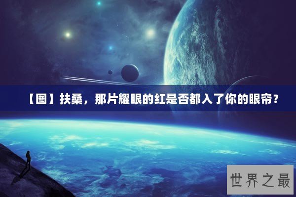 【图】扶桑，那片耀眼的红是否都入了你的眼帘？