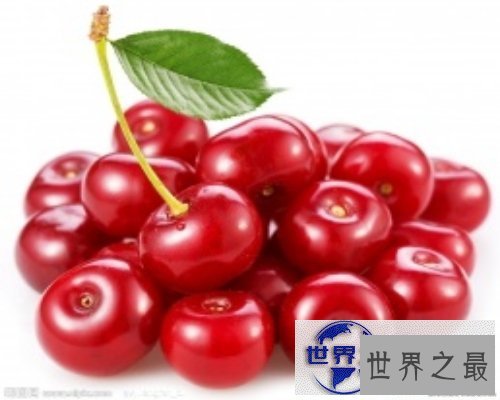 【图】樱桃bt是个啥？