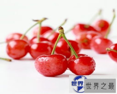 【图】樱桃bt是个啥？