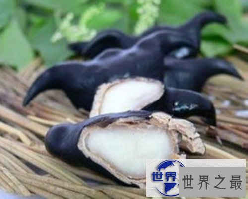 【图】生活中最常见的菱科食物-菱角
