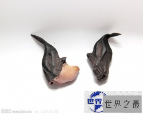 【图】生活中最常见的菱科食物-菱角