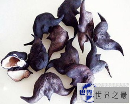 【图】生活中最常见的菱科食物-菱角