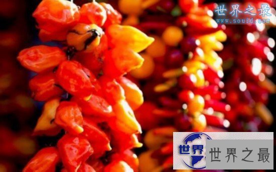 【图】世界上最辣的辣椒排名，卡罗莱纳死神(辣死过人