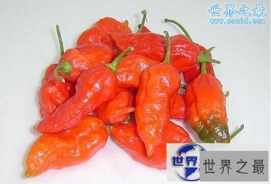 【图】世界上最辣的辣椒排名，卡罗莱纳死神(辣死过人