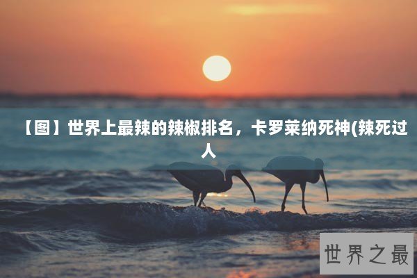 【图】世界上最辣的辣椒排名，卡罗莱纳死神(辣死过人