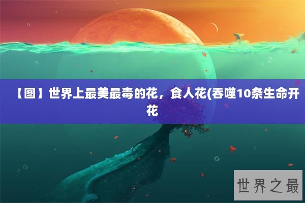 【图】世界上最美最毒的花，食人花(吞噬10条生命开花