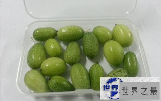 【图】世界最小西瓜佩普基诺，卖到上百一斤(拇指西瓜