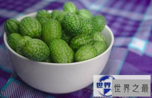 【图】世界最小西瓜佩普基诺，卖到上百一斤(拇指西瓜