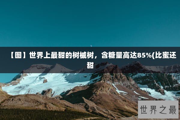 【图】世界上最甜的树槭树，含糖量高达85%(比蜜还甜