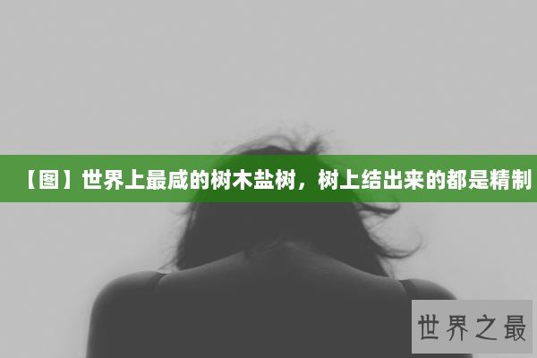 【图】世界上最咸的树木盐树，树上结出来的都是精制