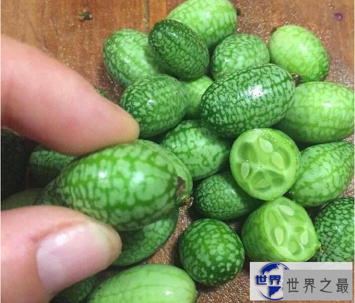 【图】世界最小西瓜佩普基诺，只有3厘米大(1口10个)