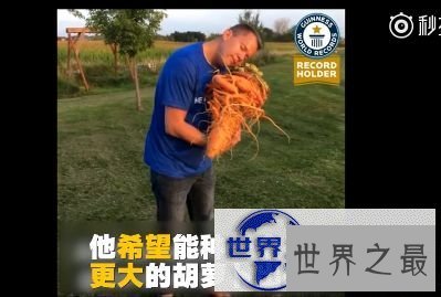 【图】盘点世界之最蔬菜，世界最重胡萝卜20.34斤已成精