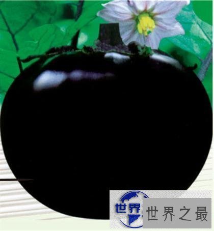 【图】盘点世界之最蔬菜，世界最重胡萝卜20.34斤已成精