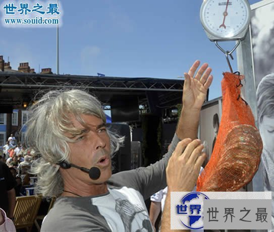 【图】世界上最大的牡蛎，重达4.3斤(载入吉尼斯纪录