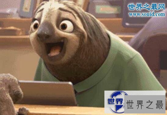 【图】世界上最有趣的动物，长着猪鼻子的大象(笑喷了